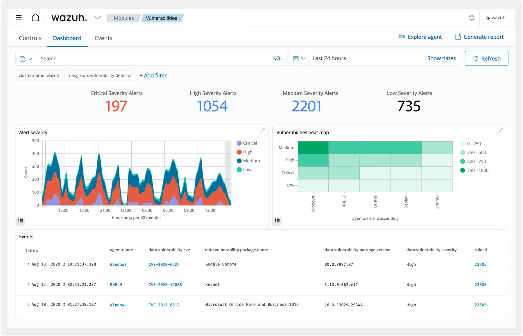 Vulnerability Detection